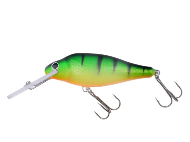 Il Persico Reale - Scopriamo Chi è E Come Si Pesca Il Persico - Pesca Facile - Foto 5