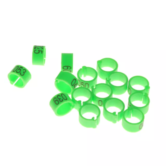 100 piezas anillos para pies de periquito bandas para piernas de codorniz bandas para piernas de bebé pollo