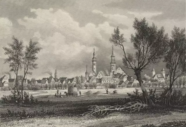 ZÜLLICHAU / Sulechów - Gesamtansicht - Stahlstich 1841