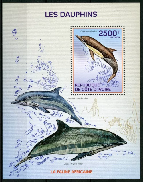 Ivory Coast Dolphins Stamps 2014 MNH Dolphin Marine Animals Mammals Fauna 1v S/S