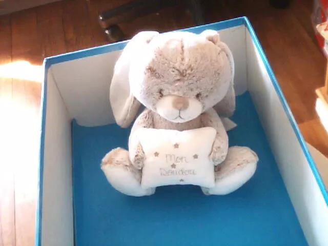 Doudou 6134 / Peluche Musicale Lapin "Tex Baby" Blanc/Marron/Gris Chine-Coussin