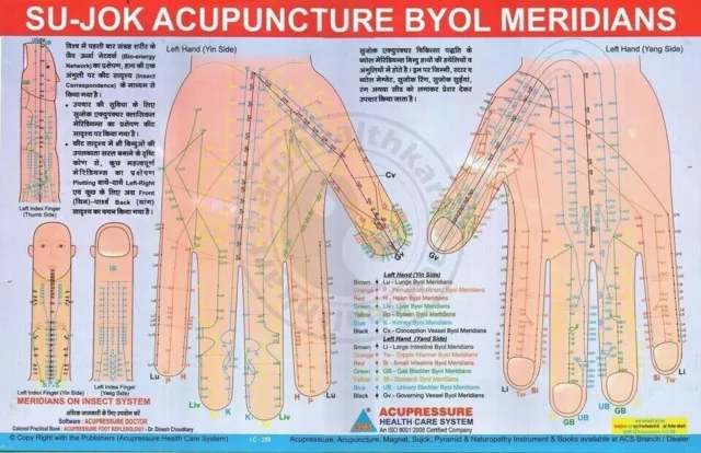 Acupressure Reflex, Acupuncture, Sujok, Element, Ear Charts (Set of 5) +10 Rings 2