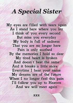 A SPECIAL SISTER Memorial Graveside Poem Card With Ground Stake F203 £2 ...