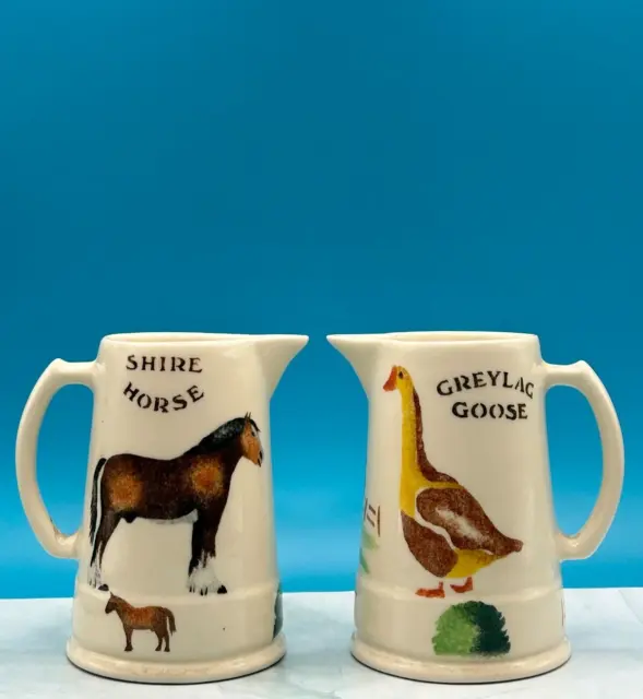 Pair of Jane and Stephen Baughan Aston Hand Painted Pottery Goose and Horse Jug