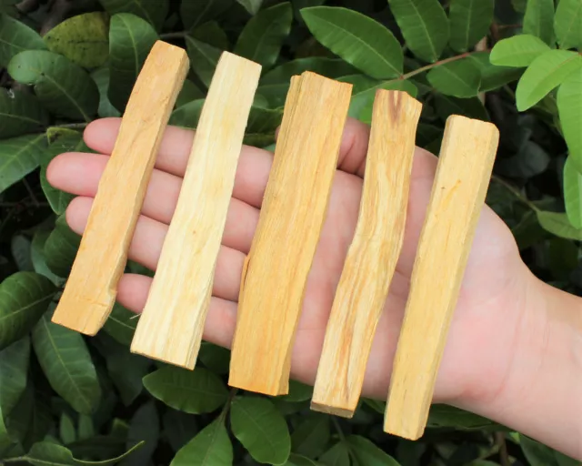 1 oz (28 gram) Palo Santo Holy Wood Sticks (Incense Smudging Cleansing Blessing)