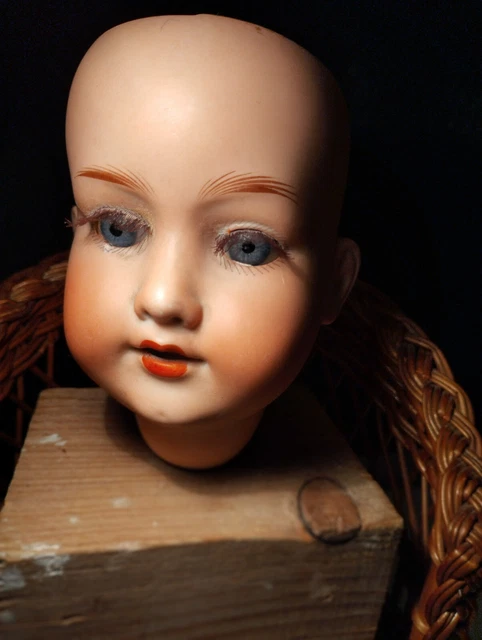 Tête De Poupée En Porcelaine AR Allemagne, 13 Cm, Probablement August Riedeler