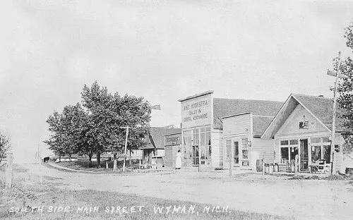 Main Street View General Store Wyman Michigan MI Reprint Postcard