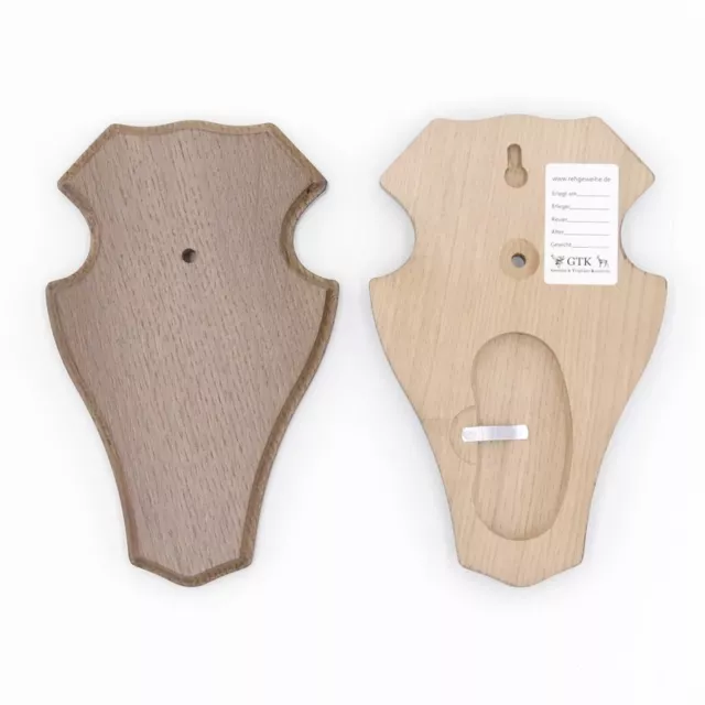 1 Pieza Ciervo Escudo de Trofeo Romo Braun Pequeño Af 19CM X 11CM Con Kieferfach