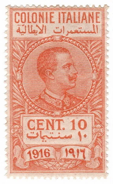 (I.B) Italy (Libya) Revenue : Duty Stamp 10c (1916)