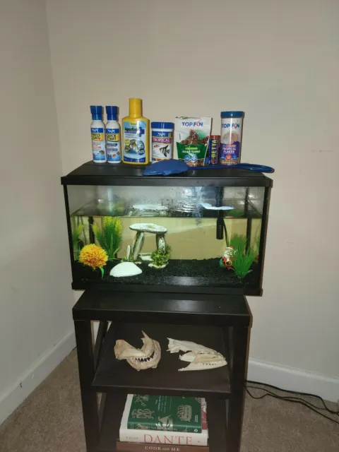 Fish Tank with everything