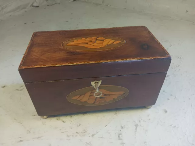 Antique Georgian Mahogany Shell inlaid Tea Caddy Box