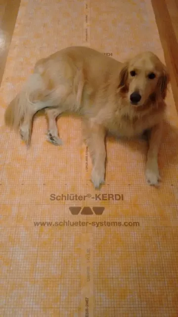 Schluter Kerdi W-proof Membrane By the Lineal Foot ~You Pick Size You Need!!~
