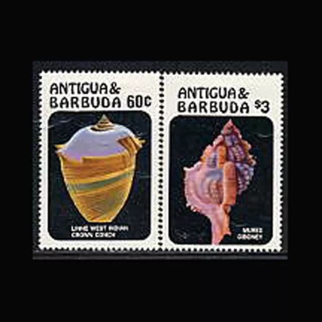 Antigua, Sc #945-46, MNH, 1986, Seashells, Conch shells, HGI-A