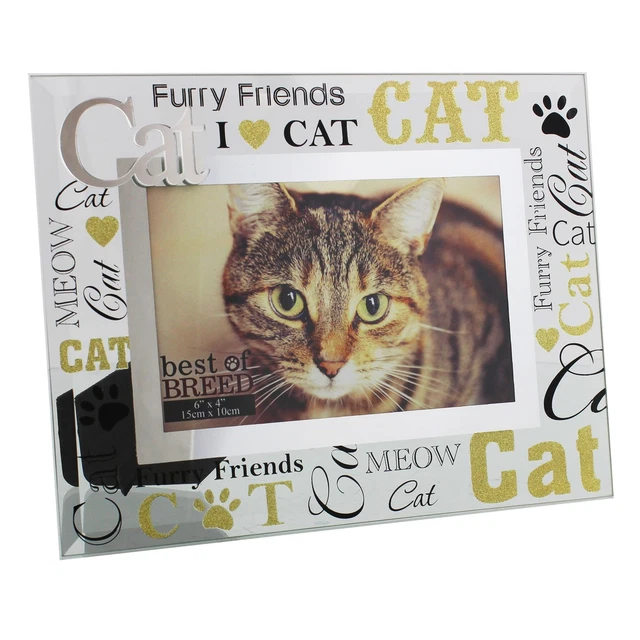 Lehills online cat mat