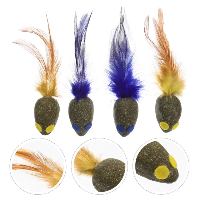 4 Pcs Catnip Toys Cat Chew Toy Cat Toy Kitten Toys Indoor Cats The Cat