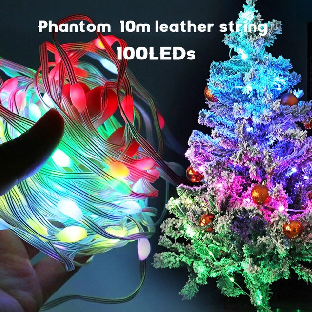 10M BLUETOOTH APP WS2812B RGB IC Pixel Fairy USB Led String Light ...