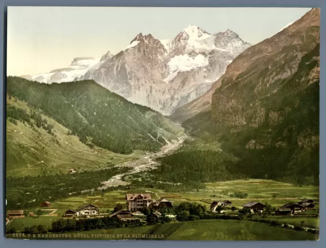 Bernese Oberland. Kandersteg. Hotel Victoria with Flower Salp. Vintage Photochro PZ