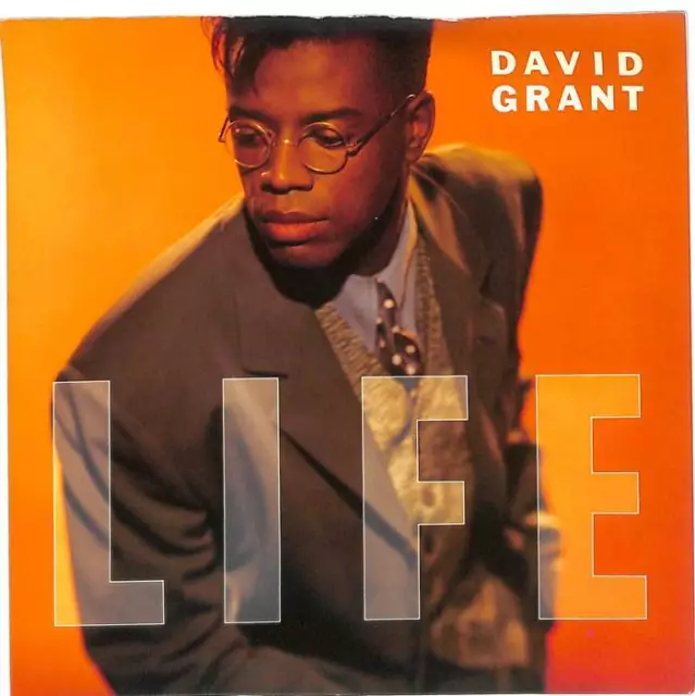 David Grant Life UK 7" Vinyl Record Single 1989 BRW145 45 EX-