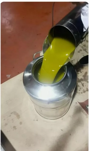 5 litri Olio extravergine di oliva biologico siciliano nuova molitura   2022