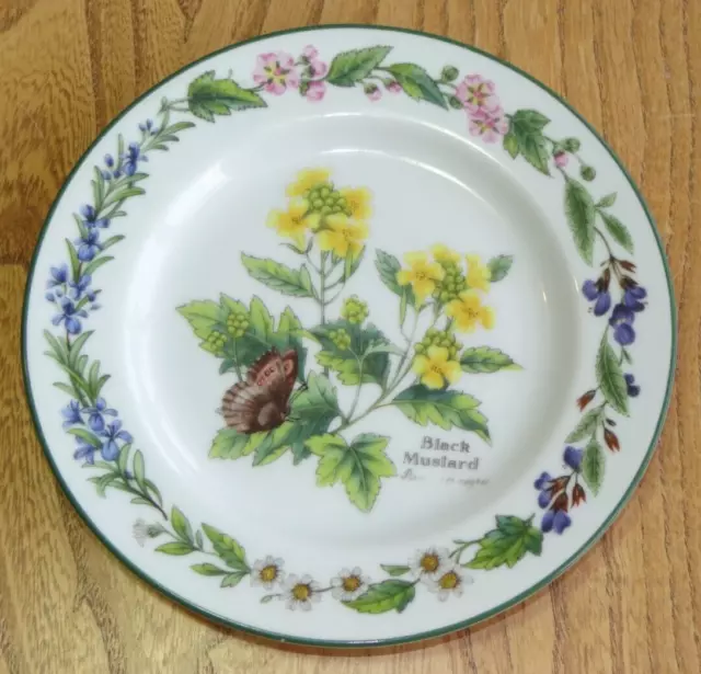 Royal Worcester BLACK MUSTARD Plate Tea or Side Worcester Herbs