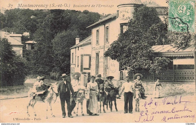 95 - MONTMORENCY - S12049 - Boulevard de l'Ermitage - Anes - L3