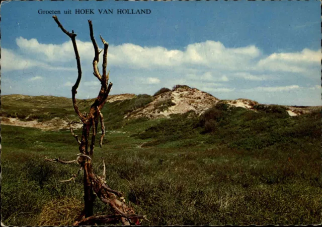 ~1960/70 Postkarte Groeten uit HOEK VAN HOLLAND Niederlande Landschaft Postcard