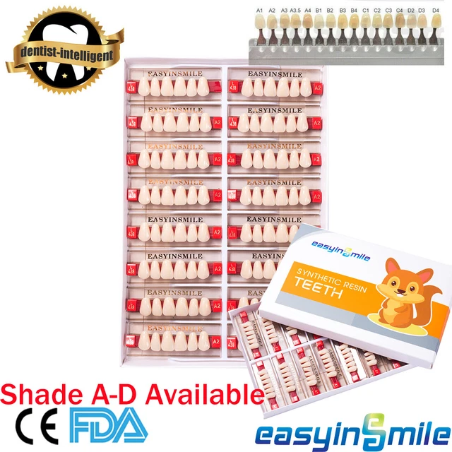 Dental Synthetic Resin Teeth Full Set (84) Anterior (96) Posterior (96