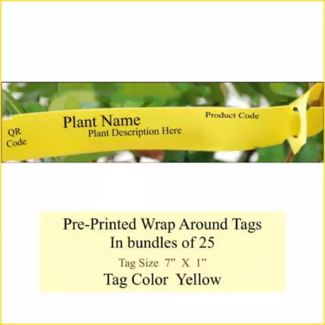 Fennel Rubra Foeniculum vulgare  - Printed Plant Tags    { Pk of 25  }