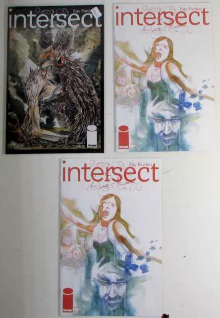 2014 Intersect Lot of 3 #2 x2,2 Image Comics NM 1st Print Comic Books