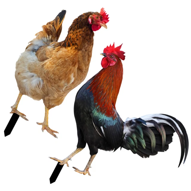 2 Pcs Garden Markers Tags Backyard Chicken Insert Outdoor Statues