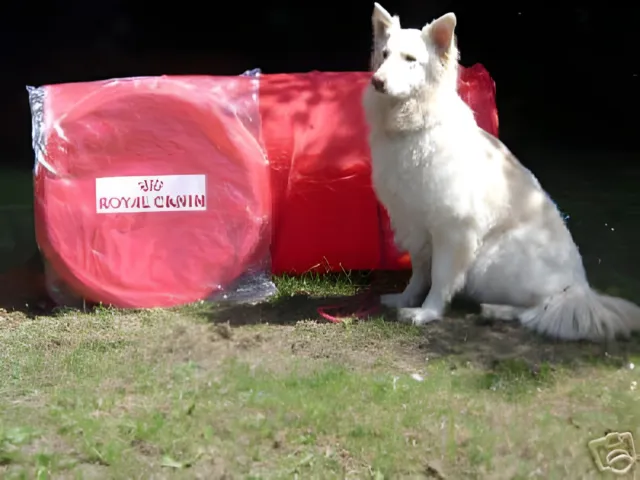 Artículo promocional Dog Agility Tunnel Royal Canin NUEVO en estuche de transporte. VENTA DE CARIDAD