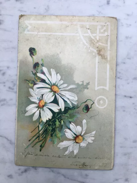Vecchia Cartolina Fiori Old Postcard