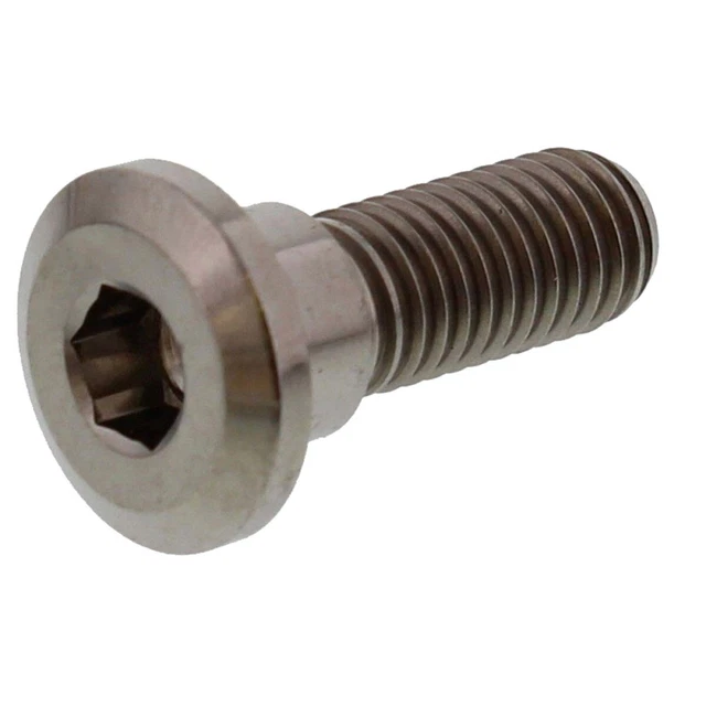 DELPHI BGK005 Kit 10 Bulloni Per Disco Freno - M8x1.25 Con Esagono 6mm