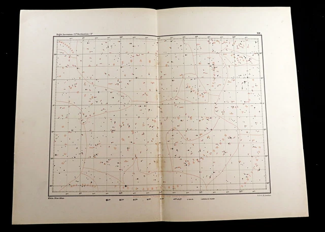 Celestial Map Star Chart Aquarius Pisces Cetus Horoscope Astronomy Antique 1893