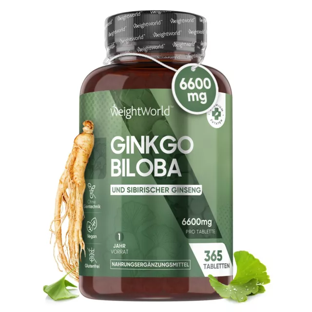 Ginkgo Biloba Tabletten - 365Stk - 6600mg - Sibirischer Ginseng Extrakt - Vegan