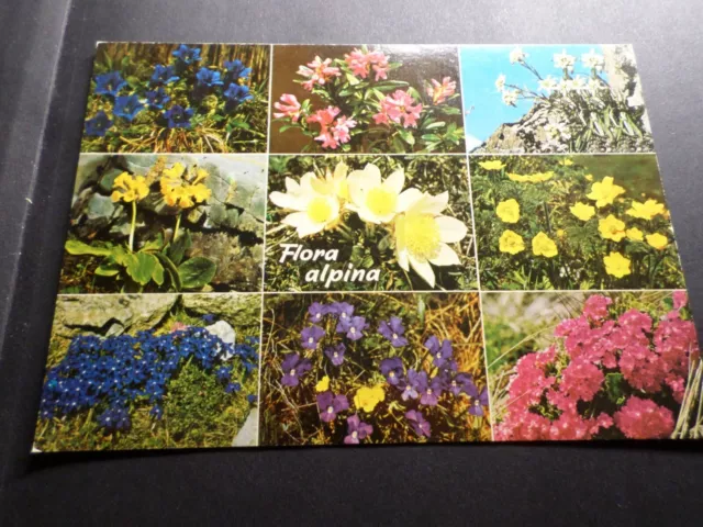 CP Flores, Flora Alpina, VF Tarjeta Postal, Flowers