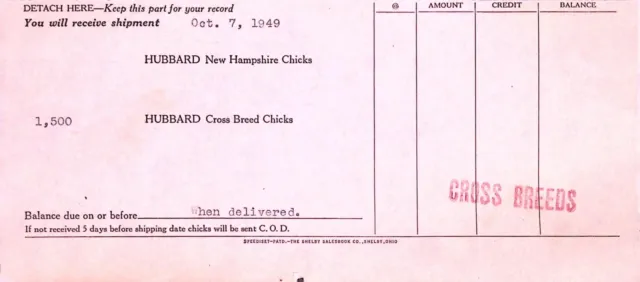 Hubbard Chicks Chicken Receipt 1949 Farm Poultry Invoice