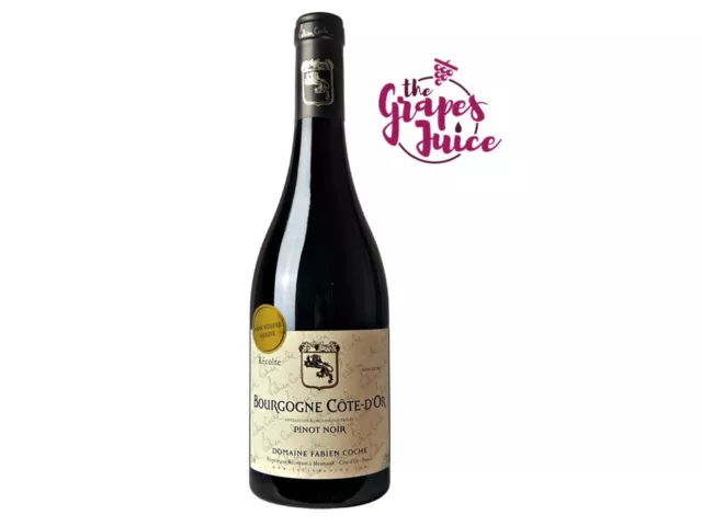 FABIEN COCHE Bourgogne Pinot Noir 2020 Rouge Vin Sans Soufre Côte D'Or France