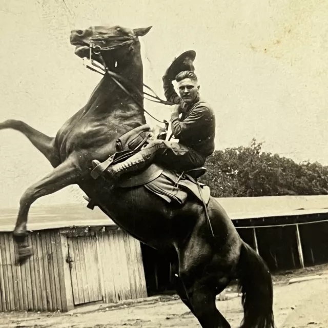 Vintage Snapshot Photograph Handsome Young Man Rodeo Cowboy On Horse ID Mills