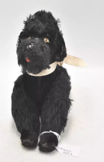 Vintage 1950er Mohairpudel schwarzer Hund gelenkt, Glasaugen Hund Teddybär