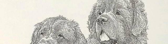 FINE ART PRINT s/n Ltd.Ed. Newfoundland Dog Family pen Ink drawing Newfies Newfy