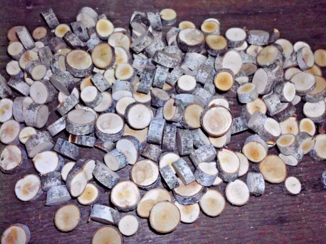 50 + BIRCH WOOD SLICES 1/2 " - 1" WOODEN CRAFTS WEDDING ORNAMENTS rounds DRIED