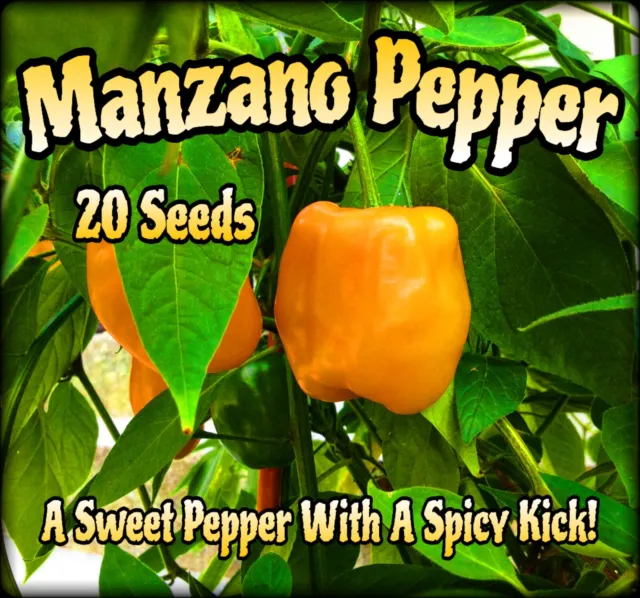 Yellow Manzano Pepper (20 Seeds) + Free Bonus Seeds 🔥