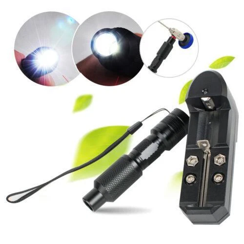 Portable 5W Cold Light Endoscope for Medical Surgeries - Carejoy LED Source