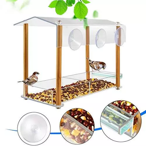 Bird Feeder, Strong Large Size with Suction Cups & Seed Tray, Separate Yellow 3