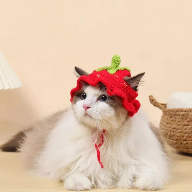 Elastic Puppy Pet Cap Cartoon Photo Shoot Props Kittens Knitted Hat