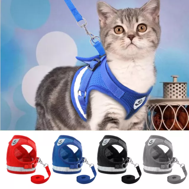 Escape Proof Cat Walking Jacket Harness and Leash Pet Puppy Adjustable Mesh Vest