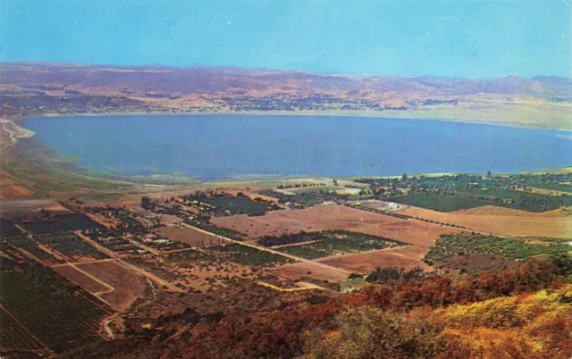Lake Elsinore California Vintage Aerial View Postcard Unposted