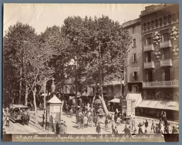 Espagne, Barcelona, Rambla de las Flores  Vintage albumen print.  Tirage album