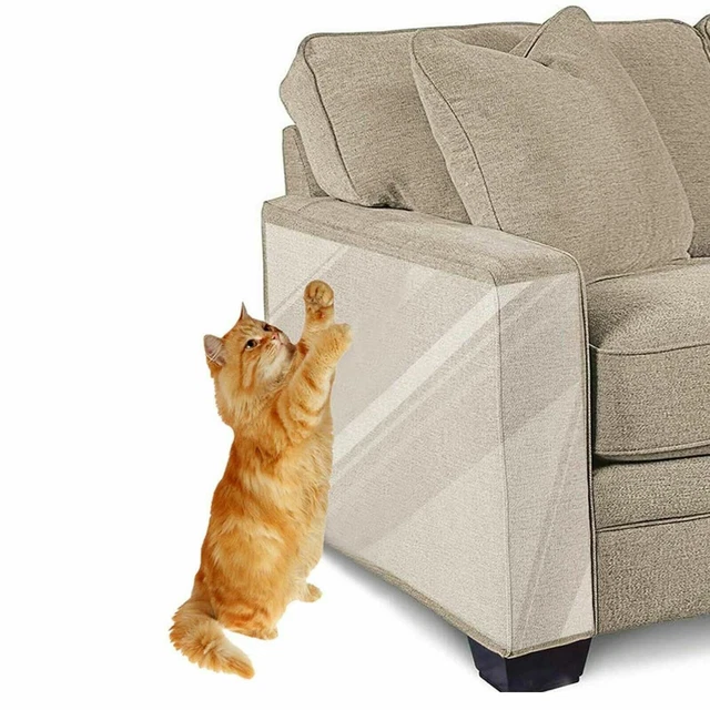 Beautiful view of Cat Protection Device For Scratching Furniture